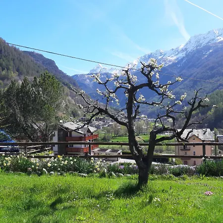 Alpino B&B-2